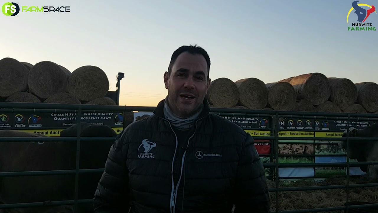 Hurwitz Farming Summer Sale 2021 - What to expect with Simeon Hurwitz