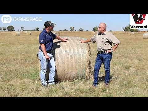 Riaan from Voermol discusses why you need to feed your animal Phosphates. (Afrikaans)