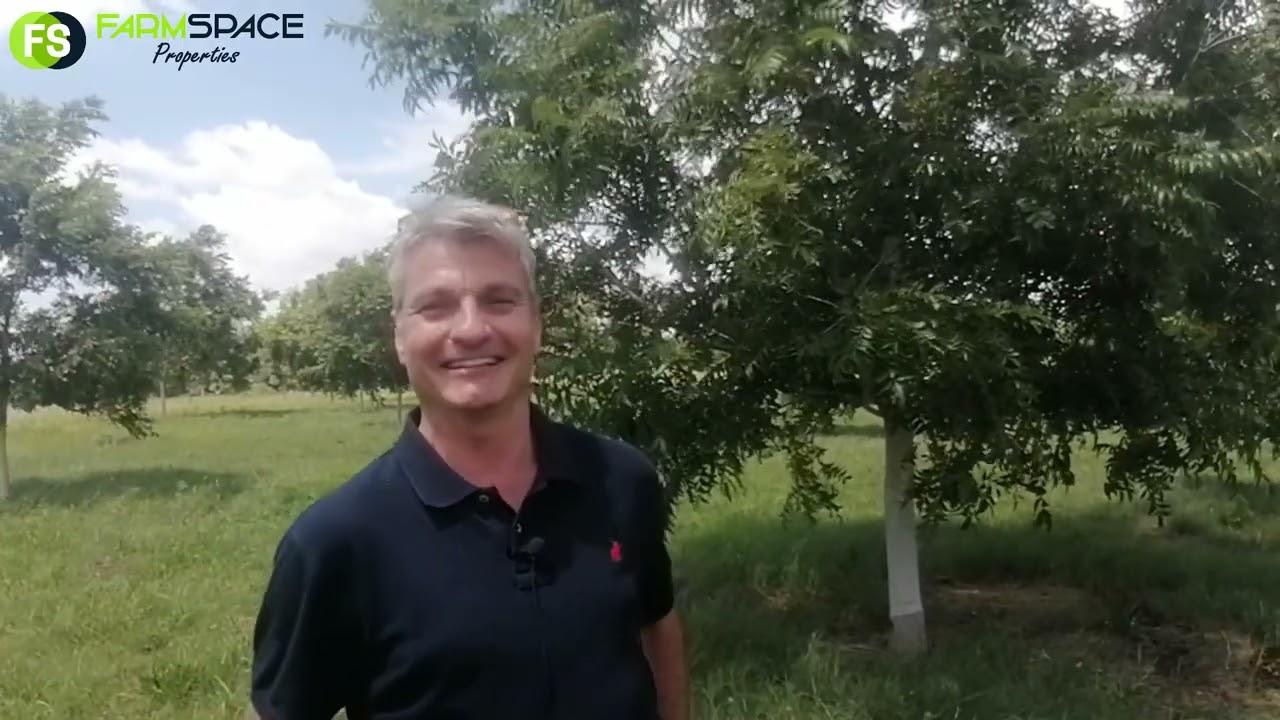 270 Hektaar pekanneut- en wildsplaas in Lichtenburg te koop.