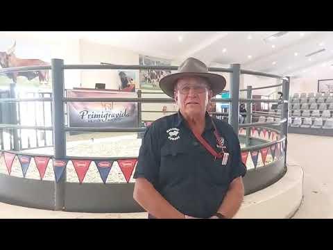 Ons gesels met Johan Henning van Marones Borane na die Primigravida Verse veiling