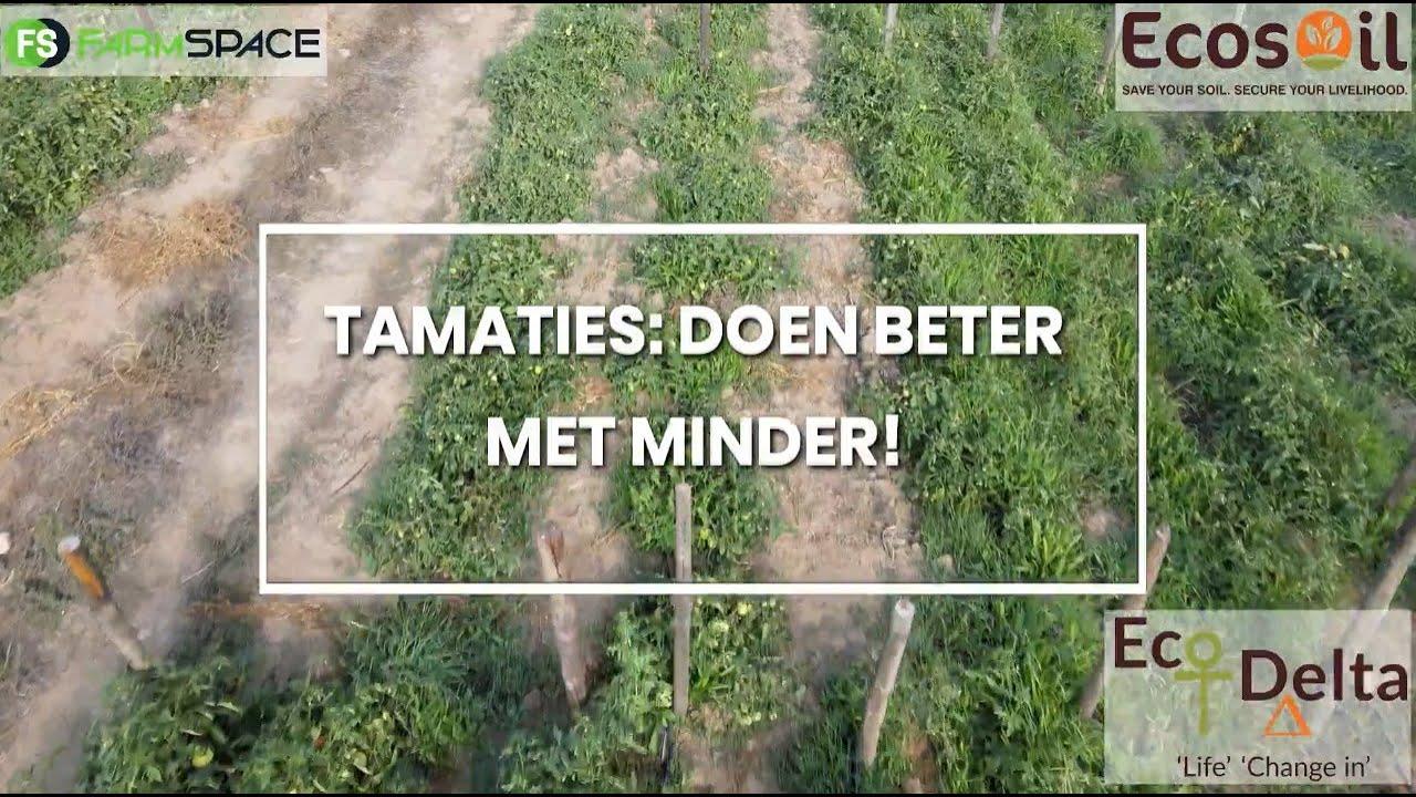 Tamaties: Doen beter met minder!