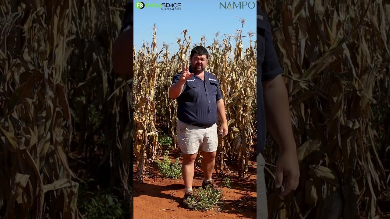 Kan jy NAMPO toe gaan of nie? Maak seker dat jy niks mis nie, so laai die Nampo App nou af.