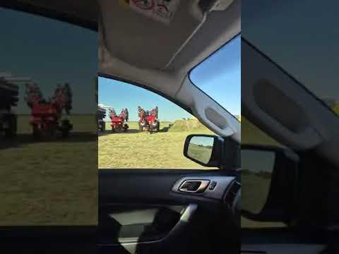 Maak seker jy mis niks! Download die NAMPO App nou!