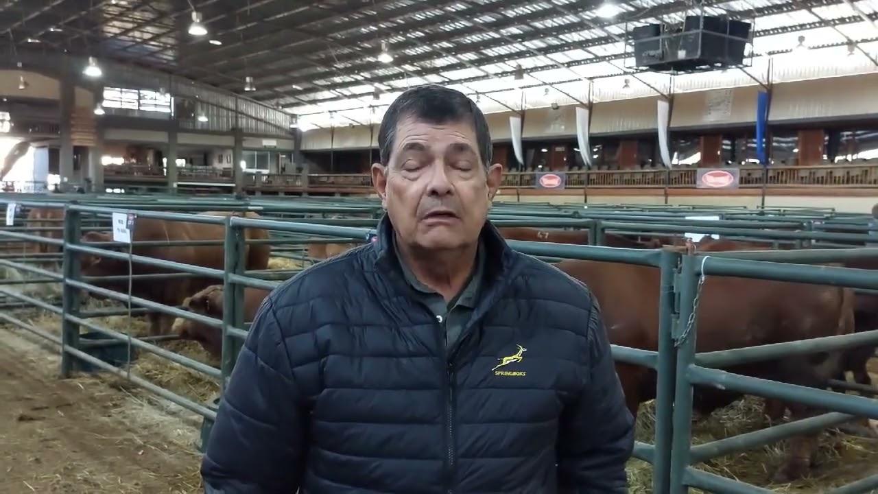 Hendrik, president van Beefmaster SA, na die Beefmaster National Auction