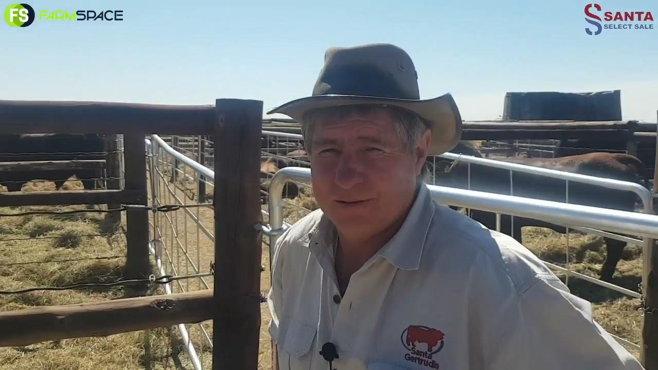 Santa Select Sale 2021 - Geffert Pretorius oor sy nuwe Santa aankope