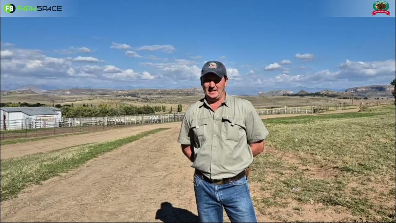 Ons gesels met Chris van Brandwater oor hulle veiling die 27 te April