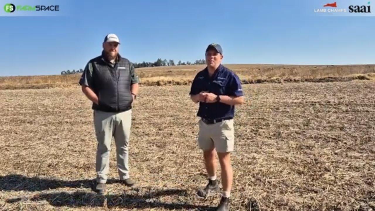 Hoekom het Jason Davel 'n Ile de France skaap ingeskryf vir Lamb Champs 2024?