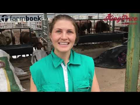 Louisa Lennon - UP-Agric Feedlot Challenge 2020