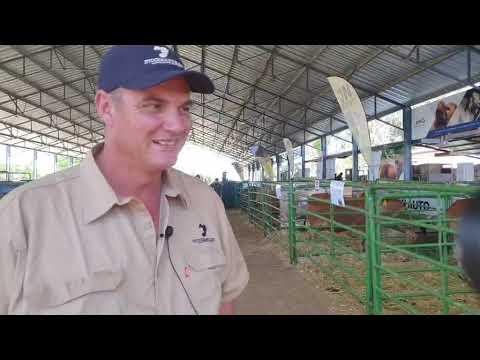 Stockman's Elite Veiling 2021 - Gideon Botha vertel ons oor wat hy dink van hul aanbieding.