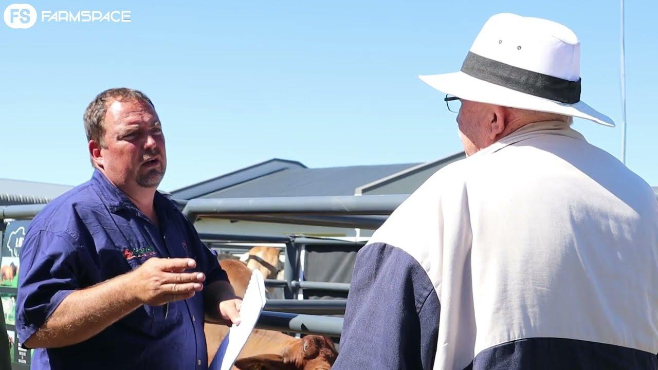 Sterkfontein Borane Auction Results & Recap
