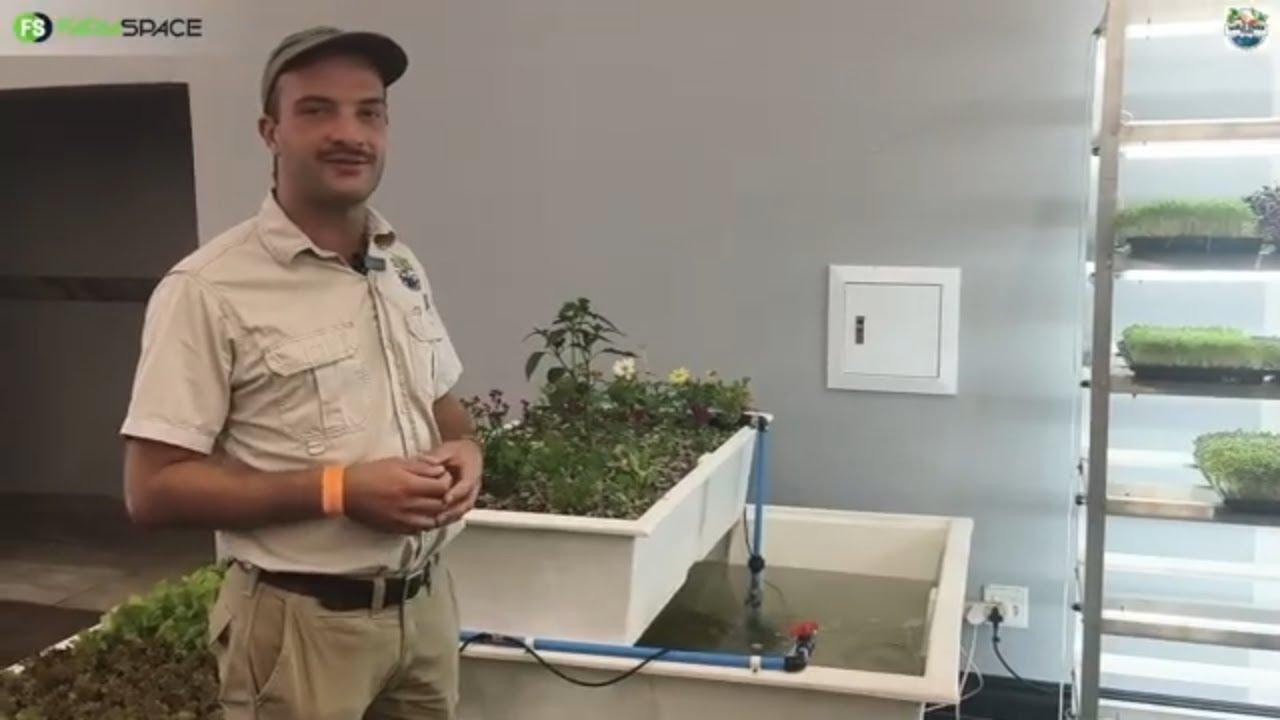 Is aquaponics werklik 'n opsie vir kommersiële boerdery?