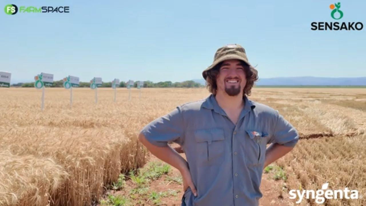 Hoe doen Sensako se SST8205 in die warm wêreld? Andries vertel meer.