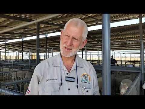 Die 19de Ile de France veiling van Oostelike Klub - Ernest Woest Gatsak Ile de France