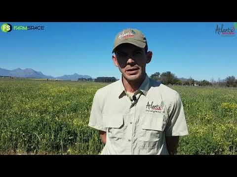 Jaco(Boer in die Boland) oor Atlantic Fertilisers Agri en sy Organiese Wingerd