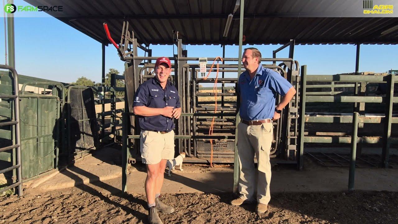 Gerrit vertel hoekom hy die Agri Shalom nek- en lyfklamp aangekoop het en wat hy van dit dink.