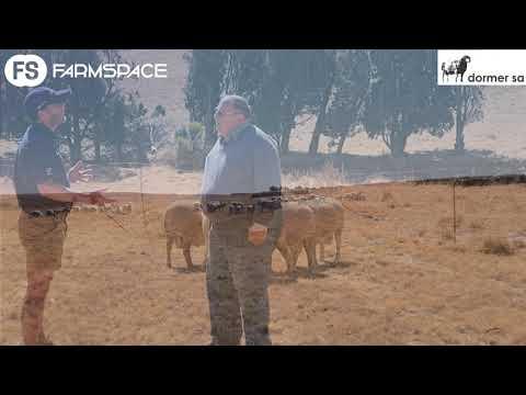 Piet van Zyl oor die Dormers in Suid-Afrika en sy toekoms vorentoe