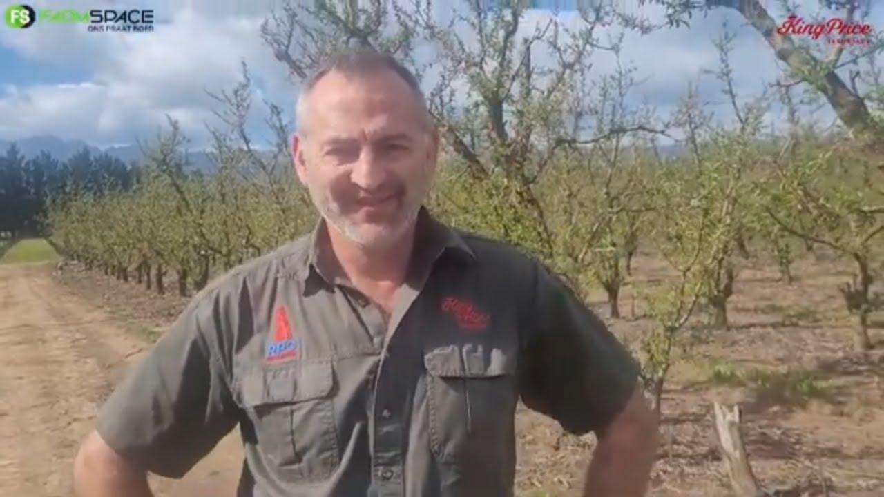 Waarvoor kan jy gedek word met die dood van versekerde diere? Kobus van King Price vertel meer.