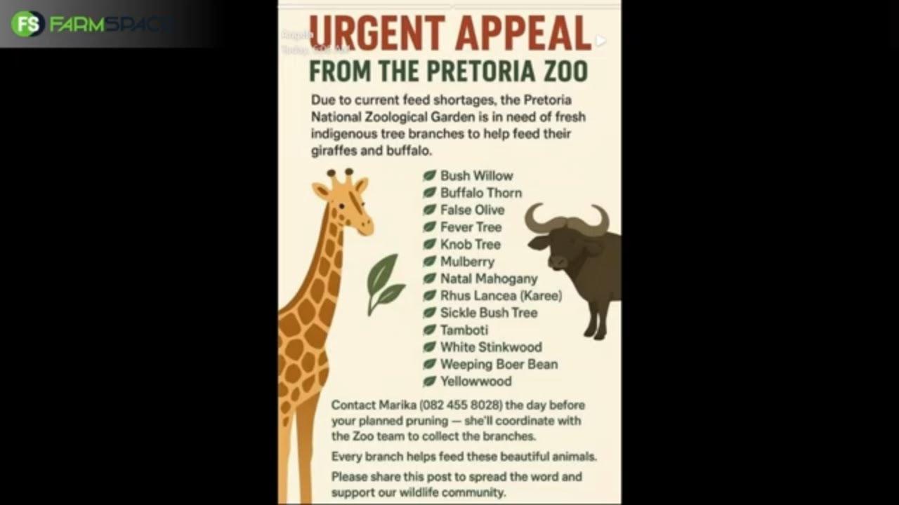 Kom ons staan saam as gemeenskap en help die dieretuin in Pretoria.