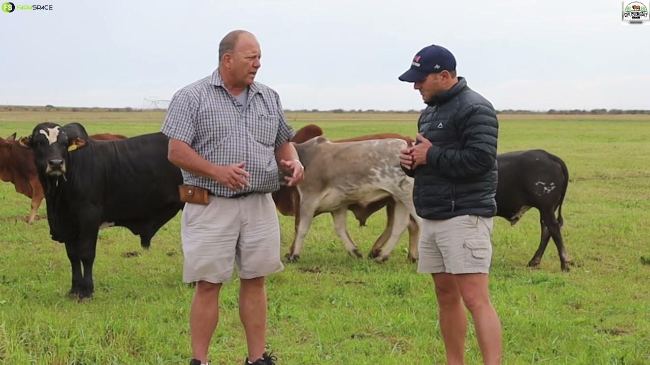 Gideon talk to us about how he started with Strip Grazing and where he is going.