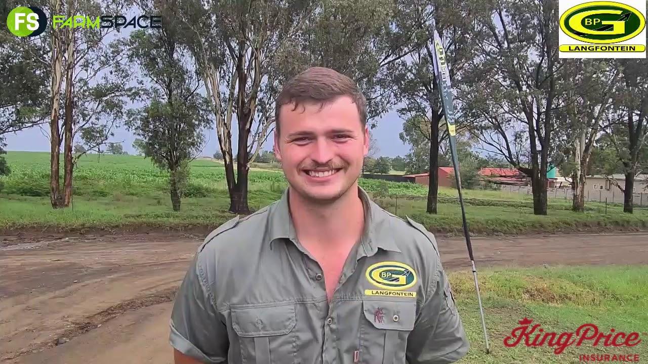Langfontein Seeds - Wat doen Langfontein Seeds presies?