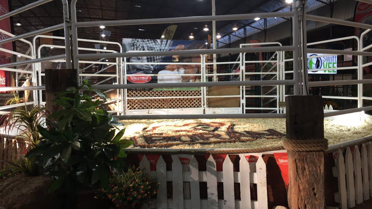 Boran National Auction 2021