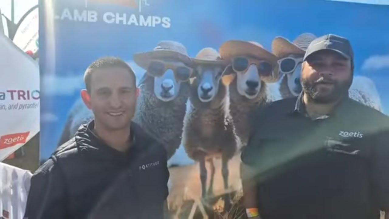 Wat het Zoetis laat besluit om deel te wees van Lamb Champs 2025?