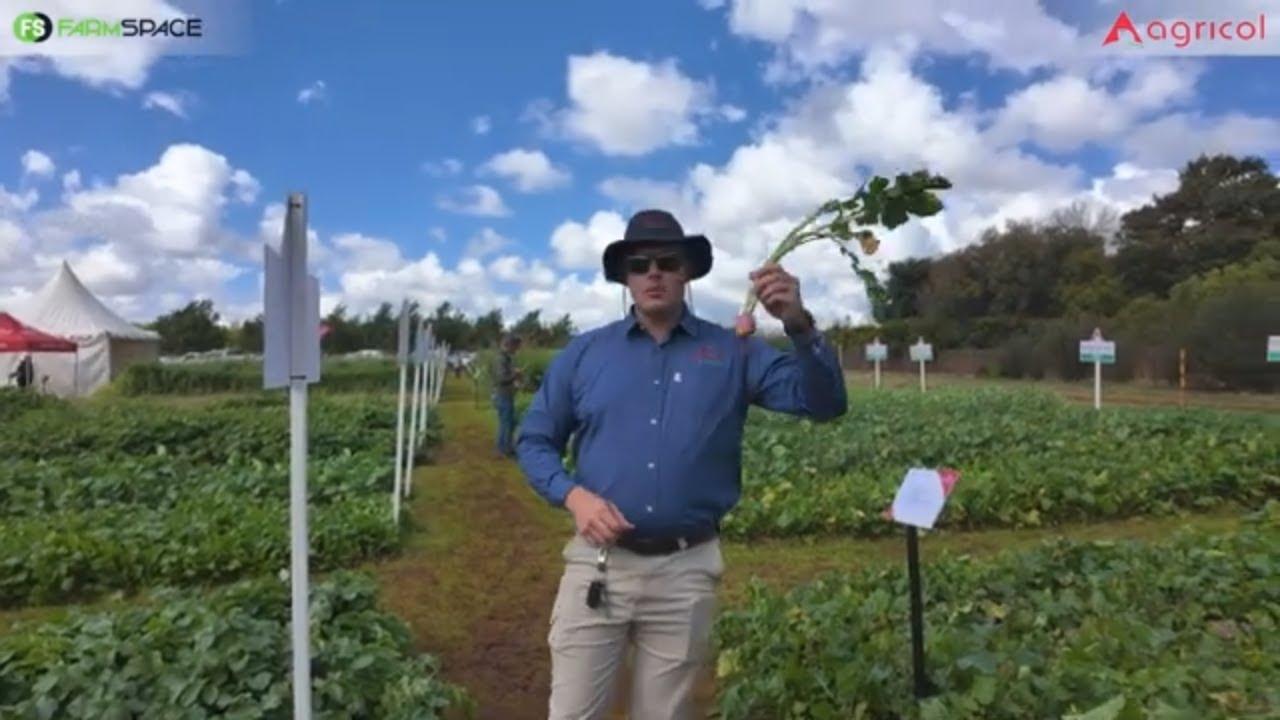 Voerradyse op die Agricol Groendag 2025.