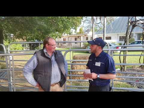 Derick le Roux die president van die Limousin genootskap