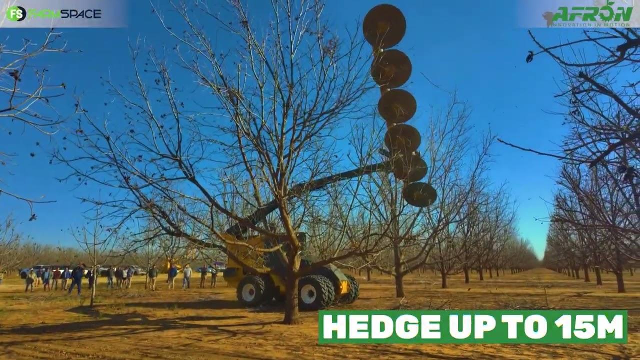 Is jy opsoek na 'n unieke pekanneut hedger wat vir jou baie tyd gaan spaar?
