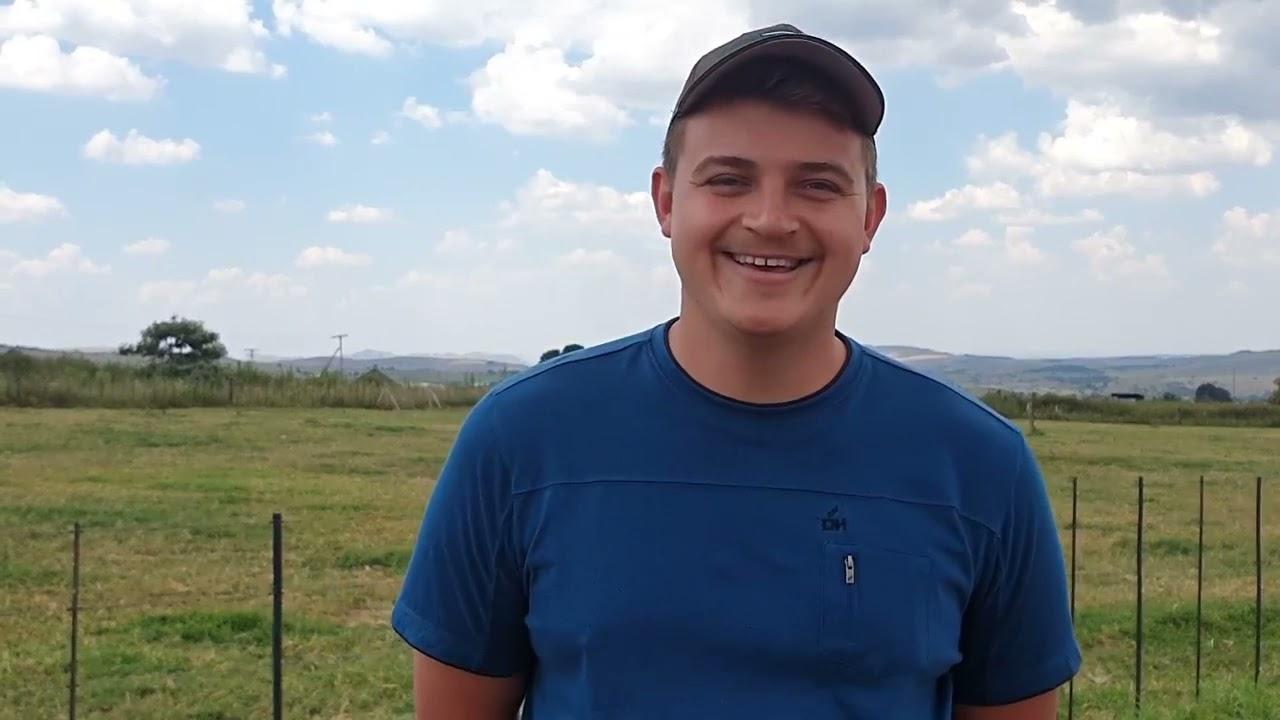 Sterkfontein se Dylan gesels moederlyne