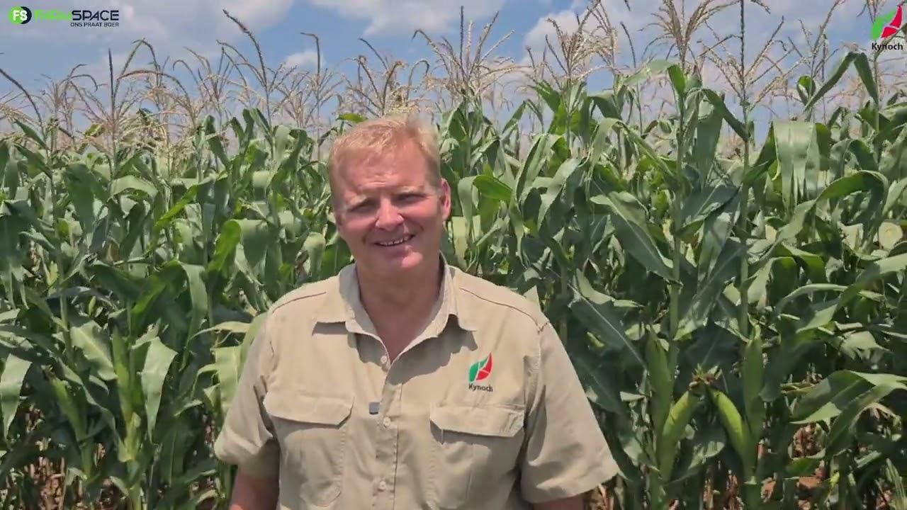 Hoe maak Deon Scheepers van Kynoch seker dat jou som klop?