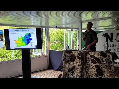 Nguni Regainer Groep Veiling, 13 Oktober 2022.