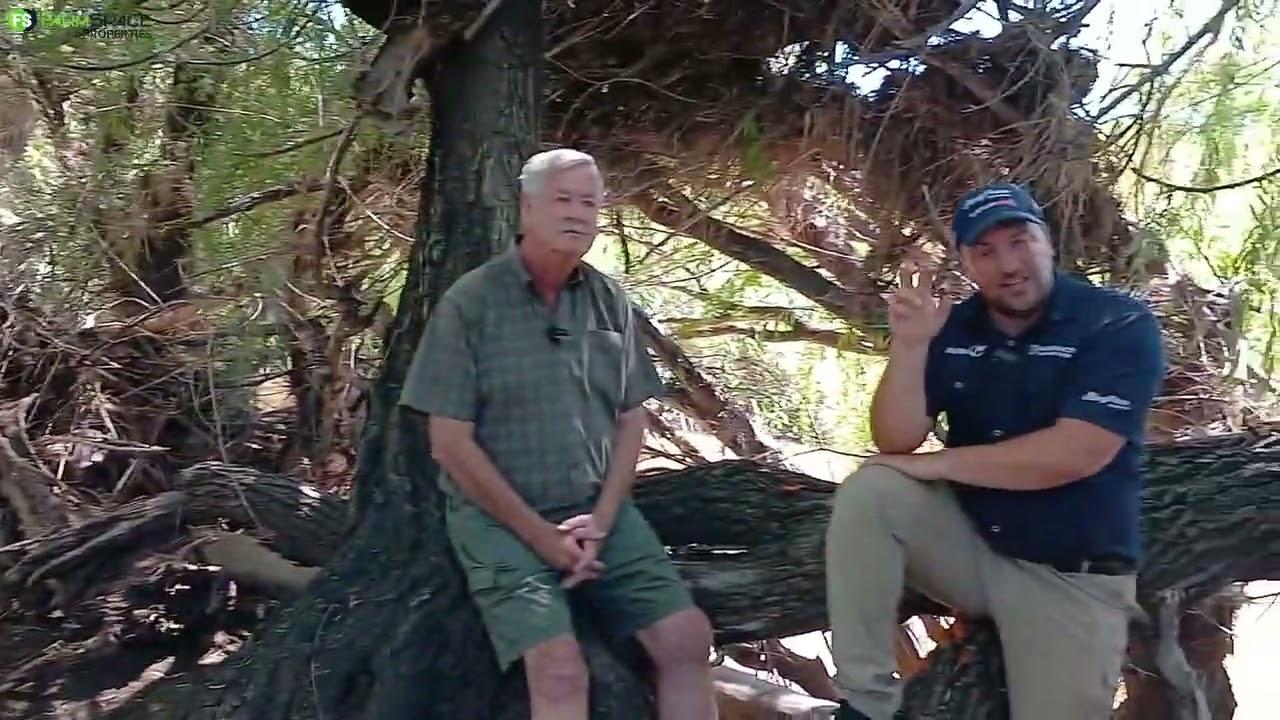 1975 Hektaar spog beesplaas te koop in Verkeerdevlei/Winburg omgewing