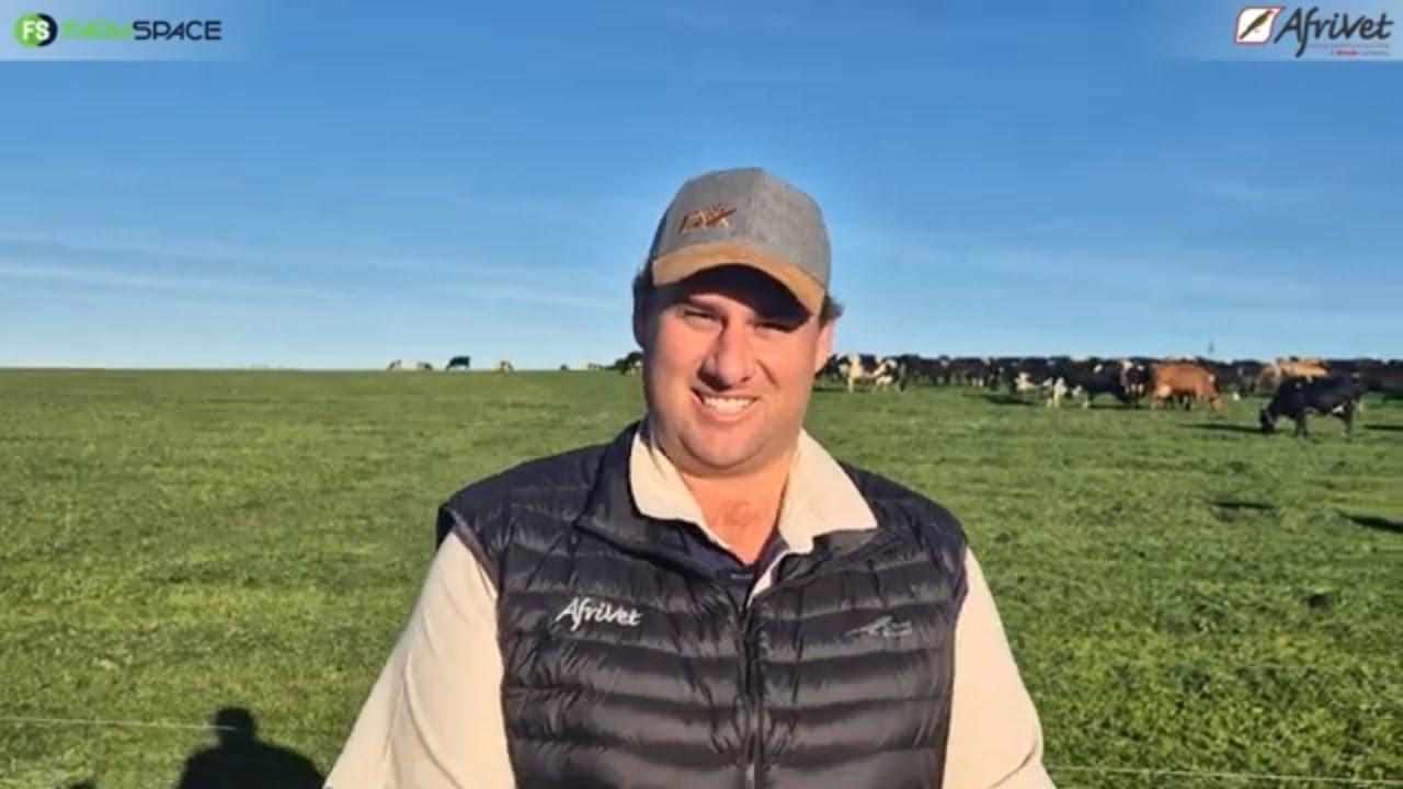 Hoe kan jy die produksievlakke in jou melkboerdery konstant hou?