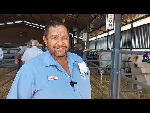 Carel van Vleissentraal, by Louma Boerdery se Nedibest Brahman veiling 2024