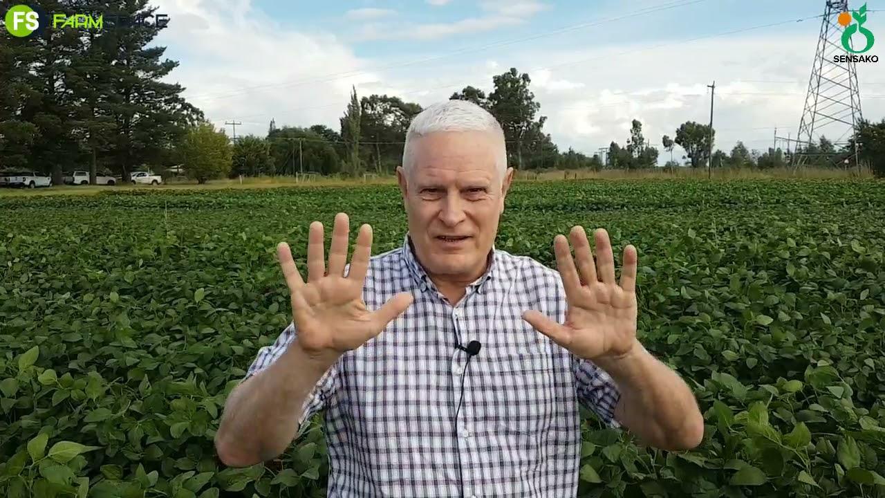 Sensako - Kobus Lindeque oor die Syngenta oorname
