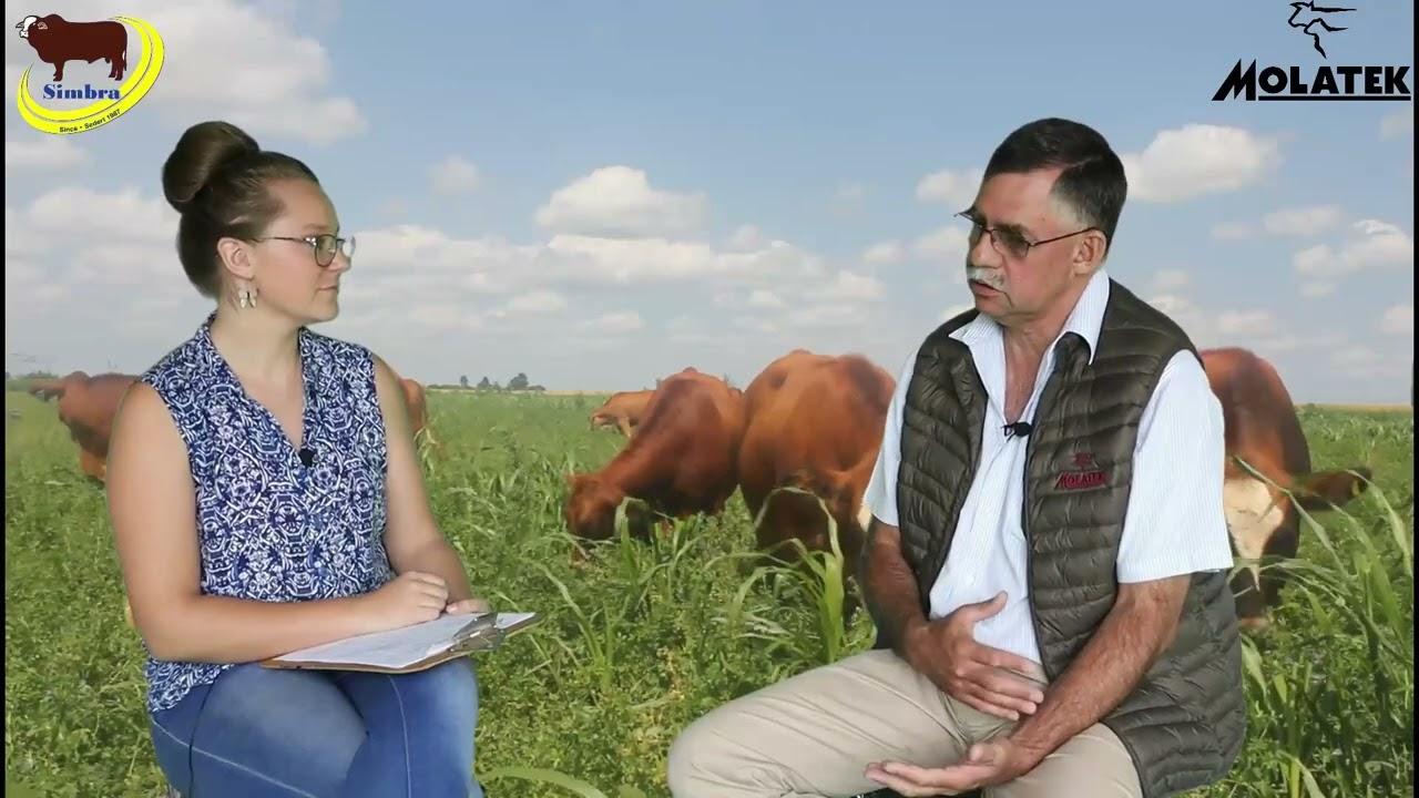 Simbra Saterdae - Deel 3 - Produksielek in Praktyk