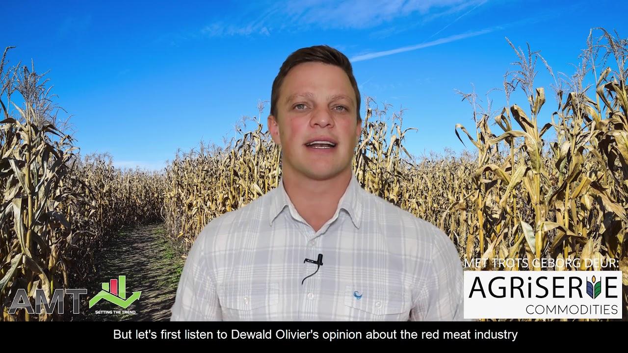 AM Trends - Lamb prices gets some support
