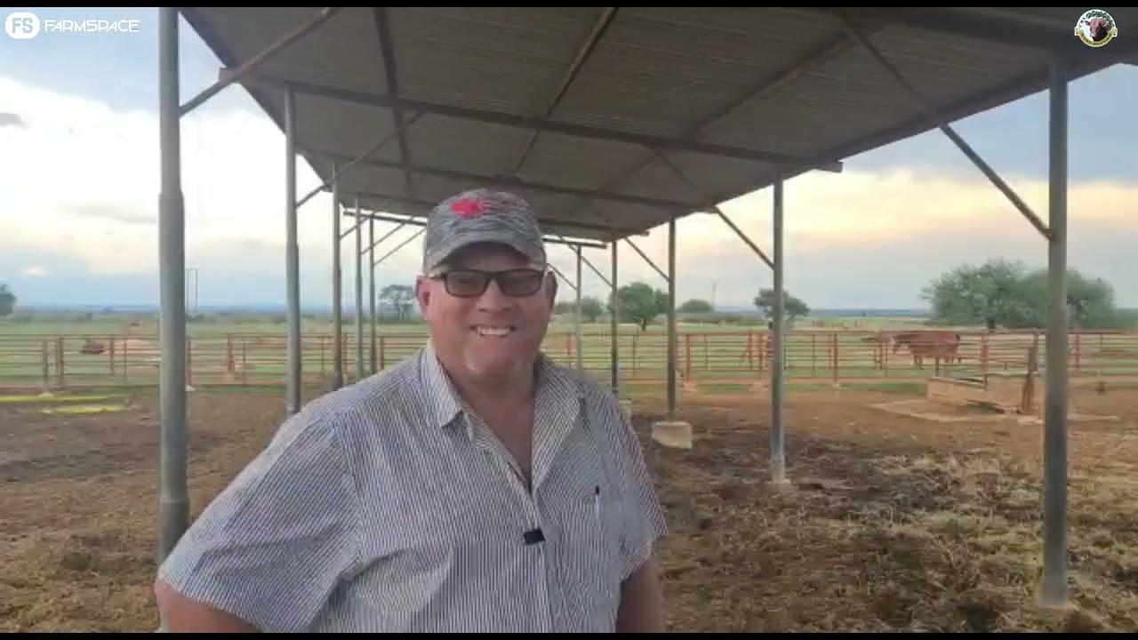 Theuns, die aflsaer van die Skatkis Bonsmaras veiling, vertel ons wat hy van die veiling dink.