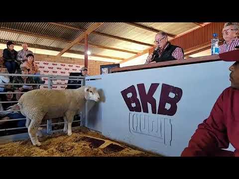 23ste Overvaal Ile de France Klubveiling 2022 LIVE