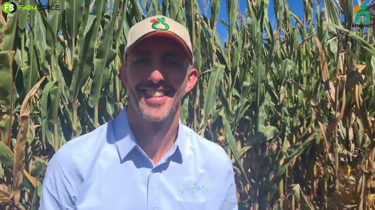 Gael van Syngenta Saad - April 2022, wat is die stand van die Agrochemiese bedryf?