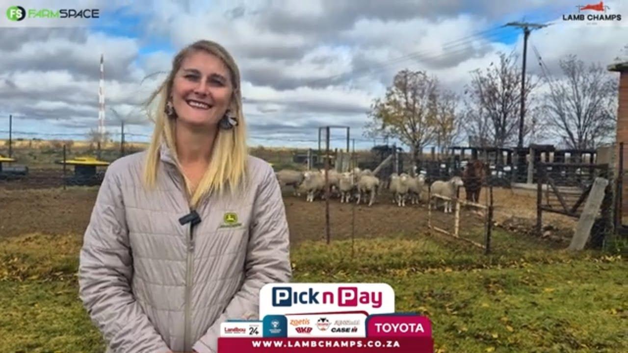 Melissa Otto skyf die jaar 'n Merino skaap in vir Lamb Champs 2025.