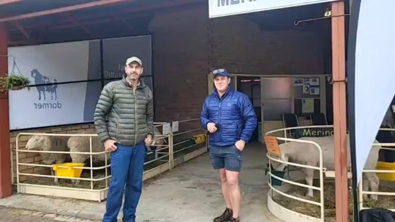 Merino Landskaap by Nampo 2023