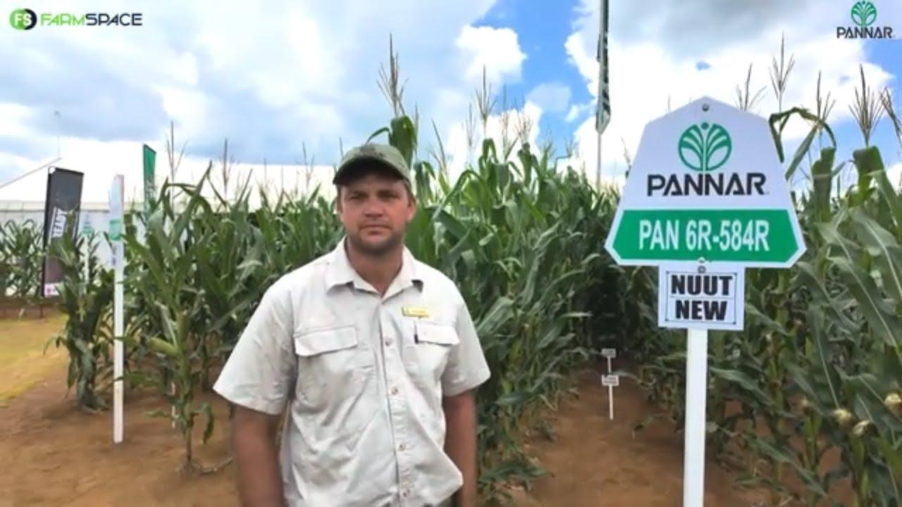 Jan Erasmus stel hul nuutste kultivars bekend tydens die PANNAR Extravaganza in Biesiesvlei!