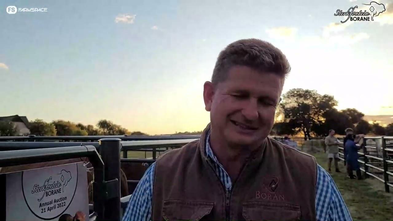 Tinus gesels met Christopher oor die Sterkfontein Boran Veiling
