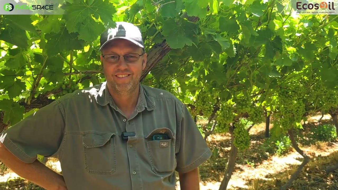 Kan jy groente volhoubaar organies boer? Wilhelm verduidelik sy resultate met die Ecosoil program.