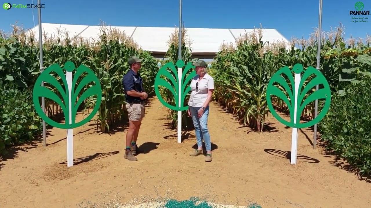 Christin Hunter from Pannar, speaks about how they are proud to be a part of the SA farmers' stories