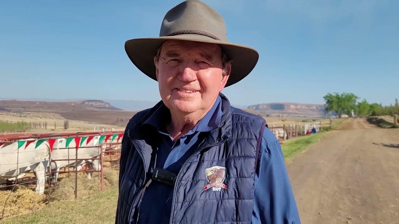 Linde Du Plessis van Brandwater Droughtmasters gesels oor die bulle wat hy 23 September aanbied.