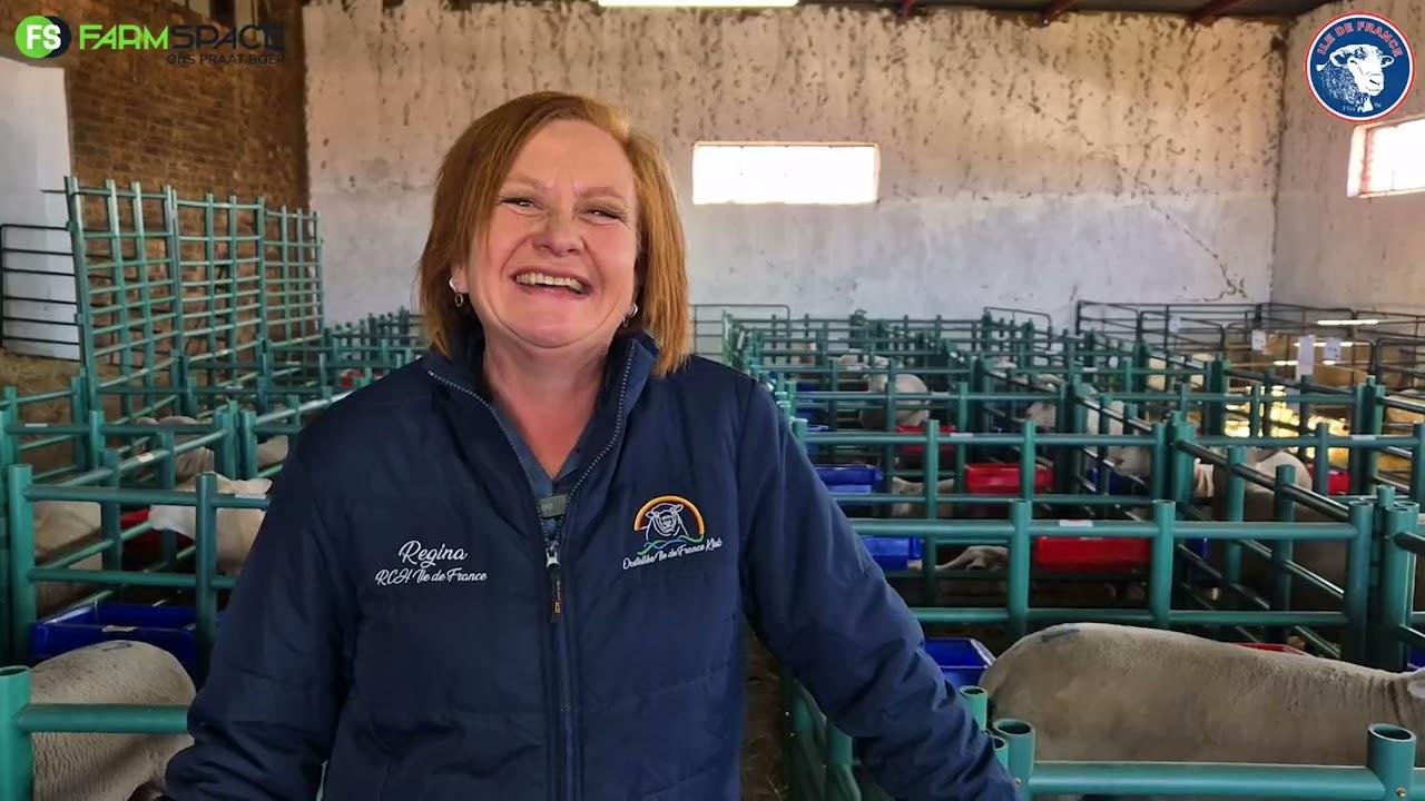 Hoekom het Regina Harmse besluit op hierdie ooi by die Oostelike Ile de France Klub veiling?
