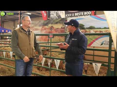 Dr. Pieter Odendaal van Coracias Borane gesels oor die Boran Nasionale Veiling 2021